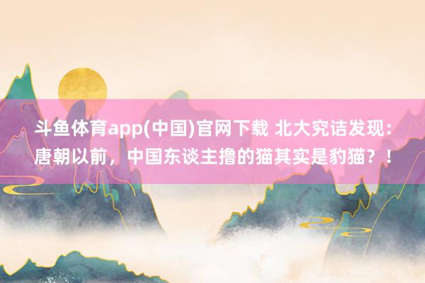 斗鱼体育app(中国)官网下载 北大究诘发现：唐朝以前，中国东谈主撸的猫其实是豹猫？！