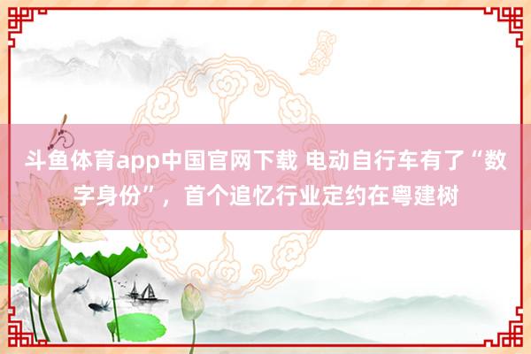 斗鱼体育app中国官网下载 电动自行车有了“数字身份”，首个追忆行业定约在粤建树