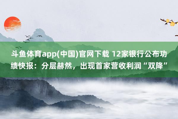 斗鱼体育app(中国)官网下载 12家银行公布功绩快报：分层赫然，出现首家营收利润“双降”