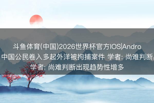 斗鱼体育(中国)2026世界杯官方IOS|Android手机app下载 中国公民卷入多起外洋被拘捕案件 学者: 尚难判断出现趋势性增多