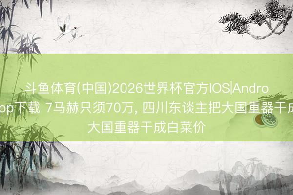斗鱼体育(中国)2026世界杯官方IOS|Android手机app下载 7马赫只须70万， 四川东谈主把大国重器干成白菜价