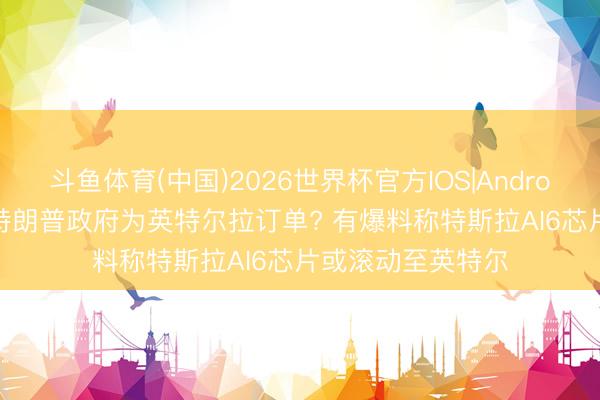 斗鱼体育(中国)2026世界杯官方IOS|Android手机app下载 特朗普政府为英特尔拉订单? 有爆料称特斯拉AI6芯片或滚动至英特尔