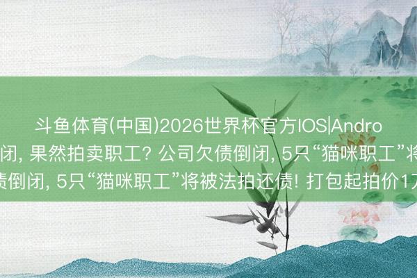 斗鱼体育(中国)2026世界杯官方IOS|Android手机app下载 公司倒闭， 果然拍卖职工? 公司欠债倒闭， 5只“猫咪职工”将被法拍还债! 打包起拍价1万元