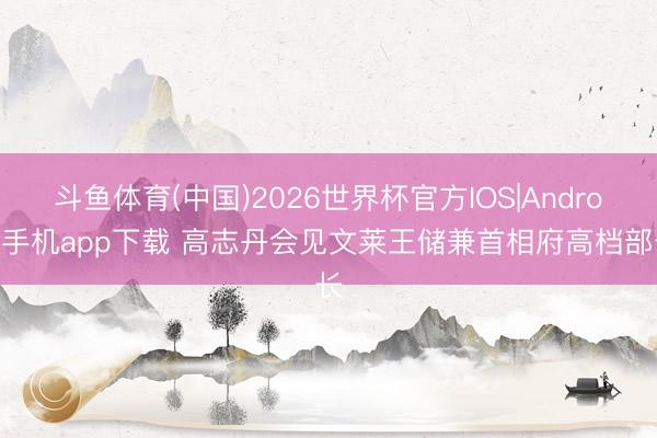 斗鱼体育(中国)2026世界杯官方IOS|Android手机app下载 高志丹会见文莱王储兼首相府高档部长