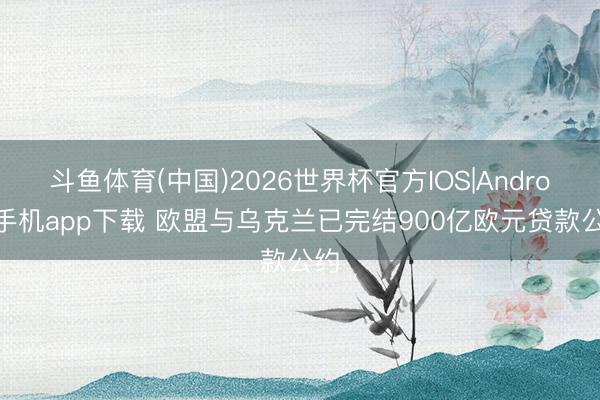 斗鱼体育(中国)2026世界杯官方IOS|Android手机app下载 欧盟与乌克兰已完结900亿欧元贷款公约