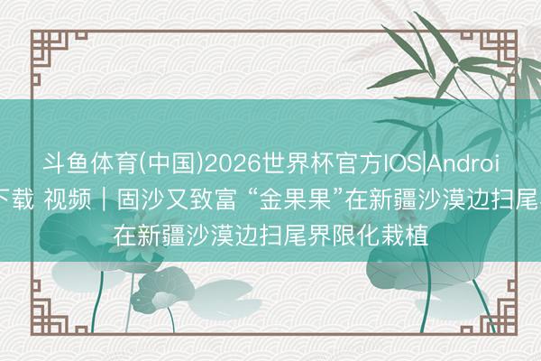 斗鱼体育(中国)2026世界杯官方IOS|Android手机app下载 视频｜固沙又致富 “金果果”在新疆沙漠边扫尾界限化栽植