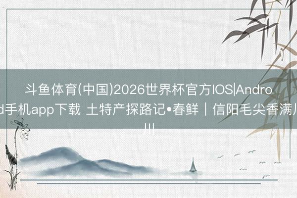 斗鱼体育(中国)2026世界杯官方IOS|Android手机app下载 土特产探路记•春鲜｜信阳毛尖香满川