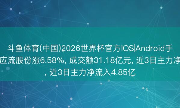 斗鱼体育(中国)2026世界杯官方IOS|Android手机app下载 应流股份涨6.58%， 成交额31.18亿元， 近3日主力净流入4.85亿